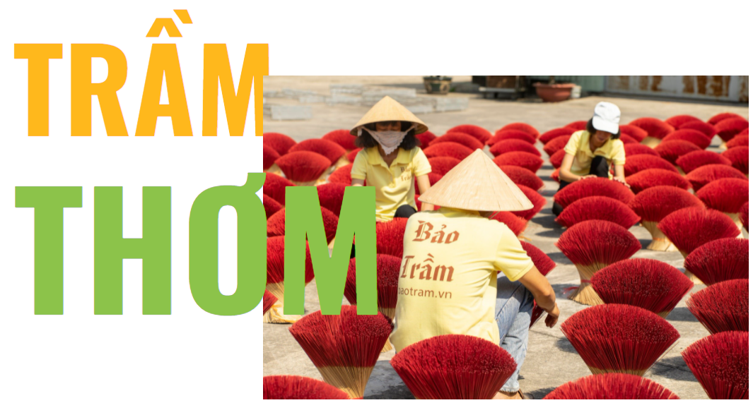 Giới Thiệu Nhang Trầm - Trầm Hương Nguyên Chất | Bảo Trầm