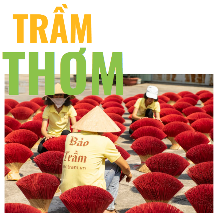 Giới Thiệu Nhang Trầm - Trầm Hương Nguyên Chất | Bảo Trầm